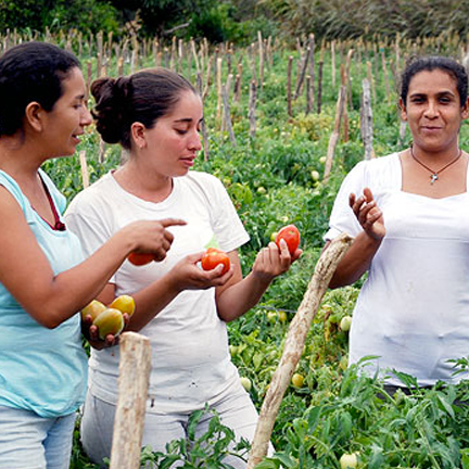 Crop Diversification in Nicaragua