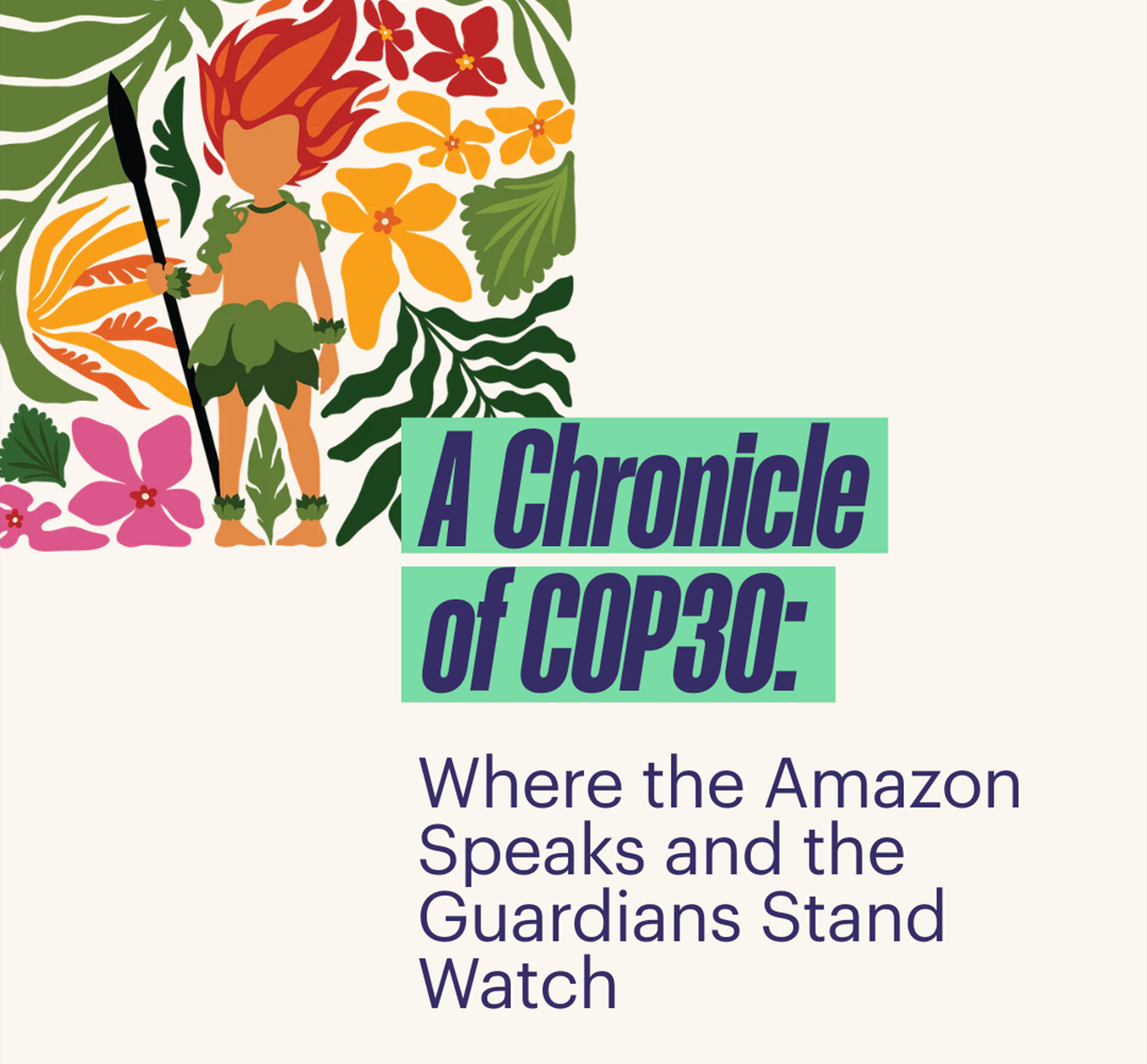 A Chronicle of COP30