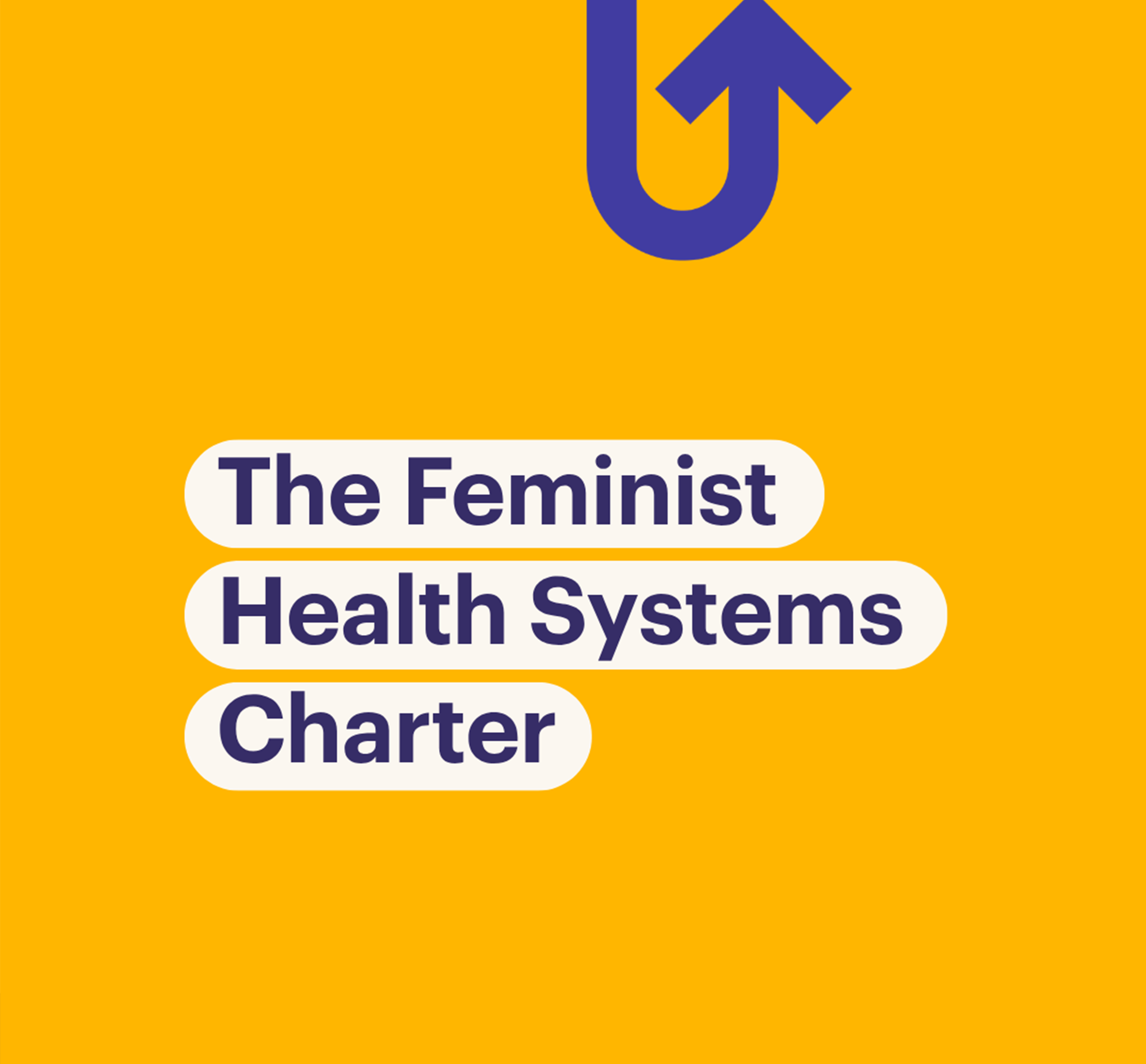 The Feminist Health Systems Charter