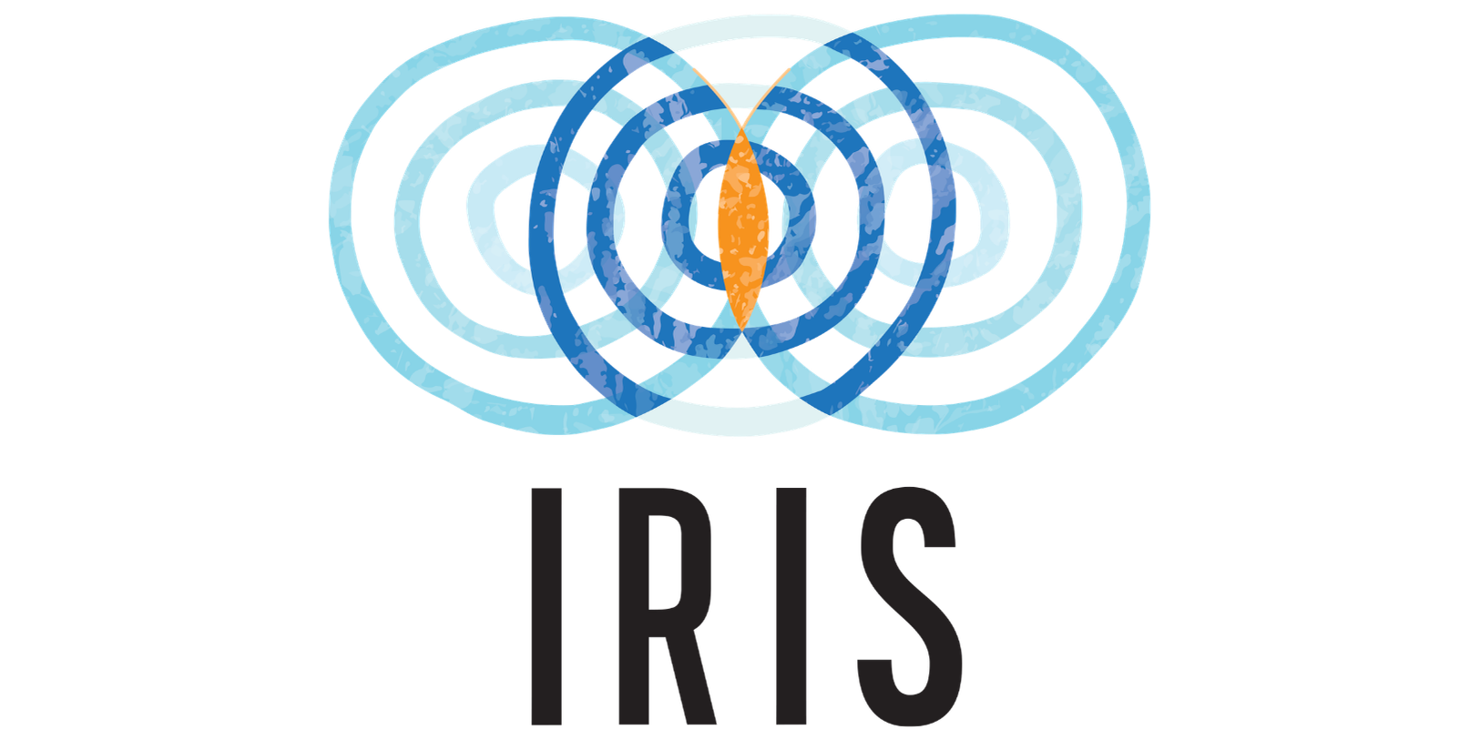 International Resource for Storytelling and Impact (IRIS)